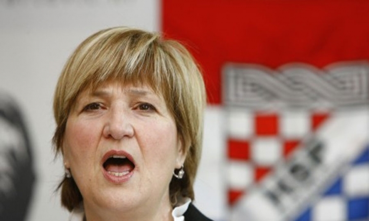 Na poziv Ruže Tomašić, poslanici EP trošili pare u Dubrovniku