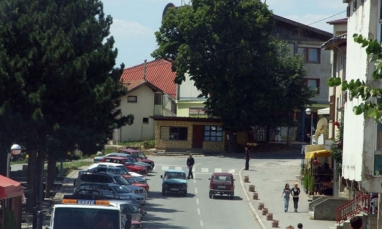 Vukovi sišli u grad
