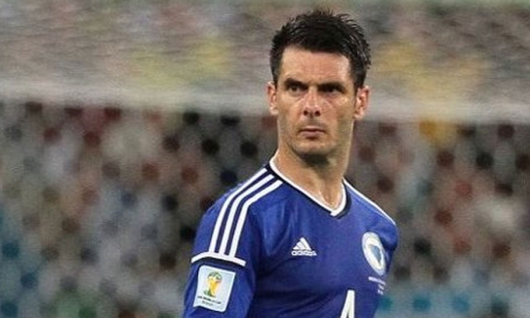 Emir Spahić se tukao nakon utakmice sa Nigerijom?