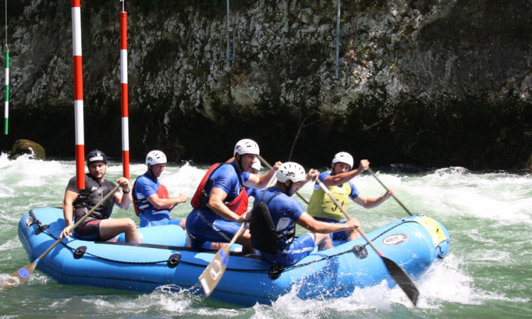 Dajak bez premca
