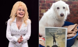 Doli Parton želi da usvoji psa nazvanog po njoj