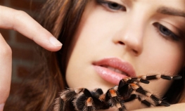 Tarantule napadaju ljude