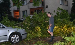 Olujni vjetar lomio stabla u Lukavcu