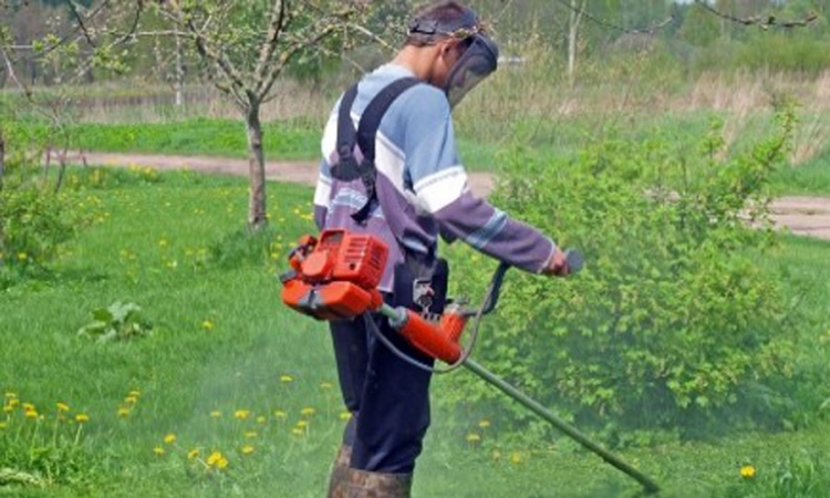Kosidba kod stanica u Lazarevu