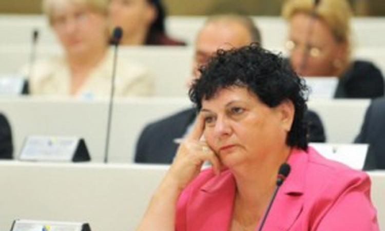 Majkić: Osloboditi parlament predizborne kampanje