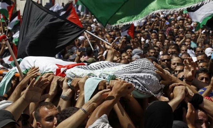 Palestinski tinejdžer živ spaljen