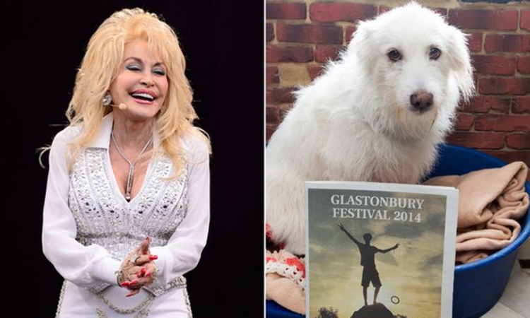 Doli Parton želi da usvoji psa nazvanog po njoj