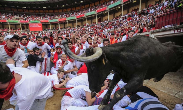 Krvava Pamplona: Bik od 600 kilograma ubo Amerikanca