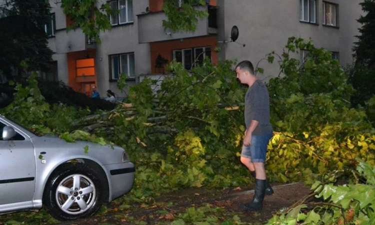 Olujni vjetar lomio stabla u Lukavcu