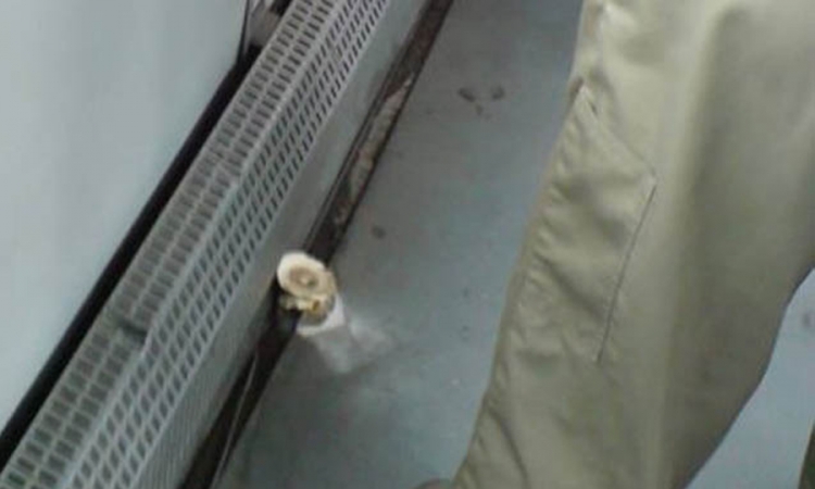 Pečurka nikla u gradskom autobusu