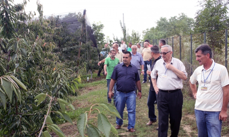Počeo Sajam ruralne privrede