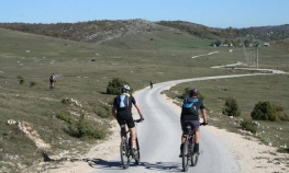 Turisti muzu krave i beru voće