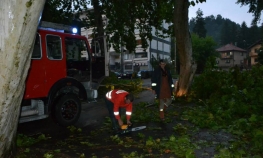 Potopljene kuće, vjetar rušio stabla