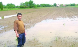 Poplava uništila 1.000 hektara oranica
