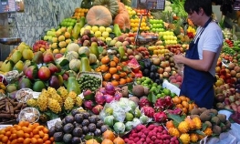 Ruski embargo mogao bi odlučiti o sudbini mnogih preduzeća