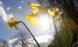 Temperatura ispod prosjeka za avgust