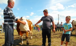 Završena republička izložba stočarstva