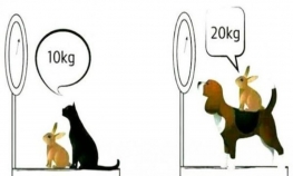 Ovu zagonetku može da riješi samo 2 odsto ljudi