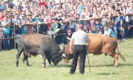 Na "Kočićevom zboru" 15.000 posjetilaca