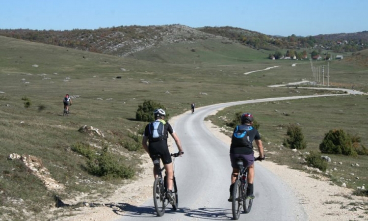 Turisti muzu krave i beru voće