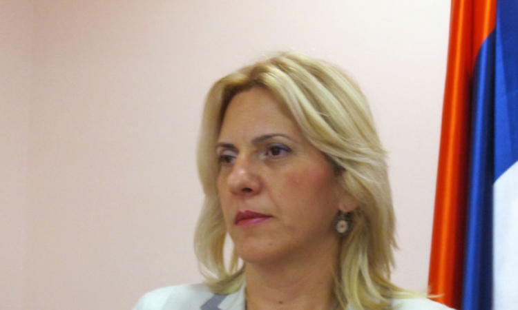 Cvijanović: Licemjeran zahtjev da se ne izvozi u Rusiju