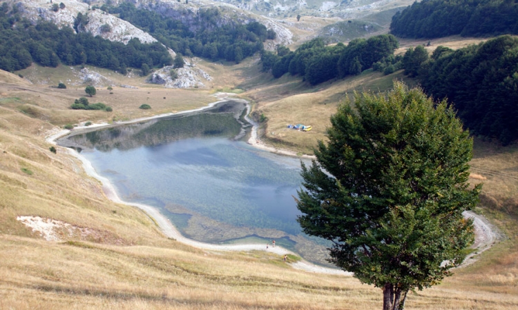 Jezerima na Zelengori prijeti izumiranje