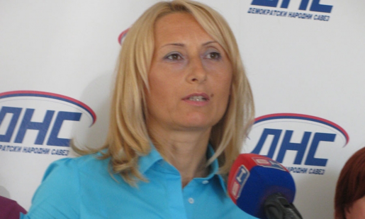 DNS za rasterećenje privrede 