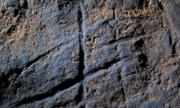 Neandertalci znali za hashtag