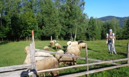 Vakcina nema, opasno i za životinje i za ljude