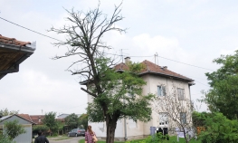 Saslušani uhapšeni u akciji "Kavala i Kavala 2"