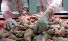 Pokušali prokrijumčariti 180 kilograma bataka