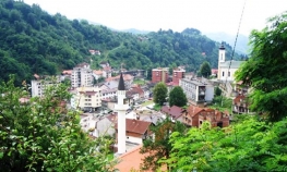 Posađeno drvo mira u Srebrenici