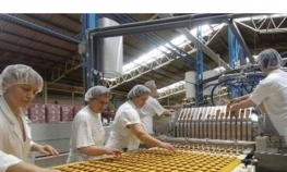 Najviše zaposlenih u prerađivačkoj industriji
