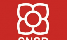 Neprimjerene fotografije na bilbordima SNSD-a u Modriči   
