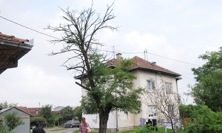 Saslušani uhapšeni u akciji "Kavala i Kavala 2"