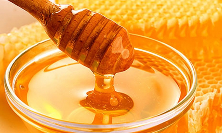 Med zamjena za antibiotike