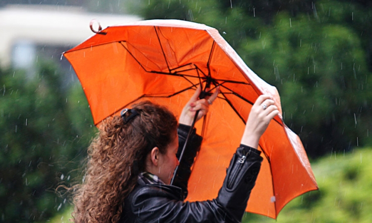 Danas kiša