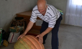 Uzgojio bundevu  od 50 kilograma