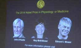 Nobel za otkriće "mrežnih ćelija"   