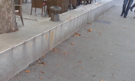 Zmija uhvaćena u centru Banjaluke