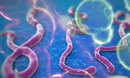  Pacijent sa simptomima sličnim eboli u Prištini