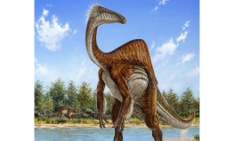 Dinosaurus zastrašujućih kandži bio u stvari nježni div