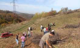 Šumu će saditi oko 10.000 volontera