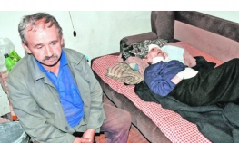 Prase upalo u sobu i odgrizlo starici prst i uvo