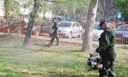 Počinje šesta sedmica deratizacije