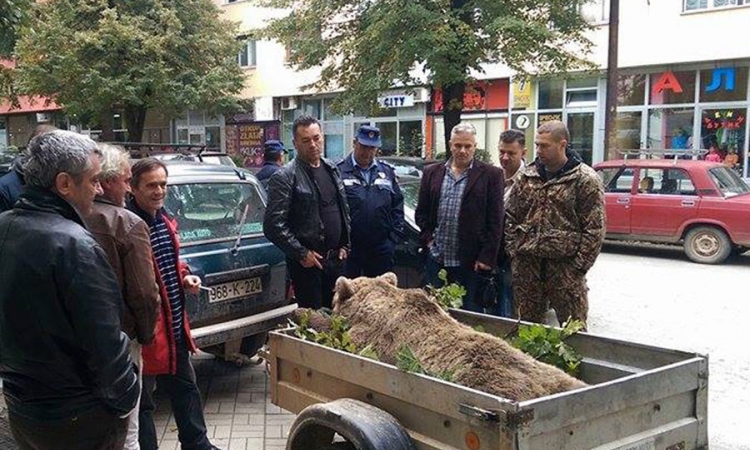 Odstrijeljena mečka koja je ubila više od stotinu ovaca