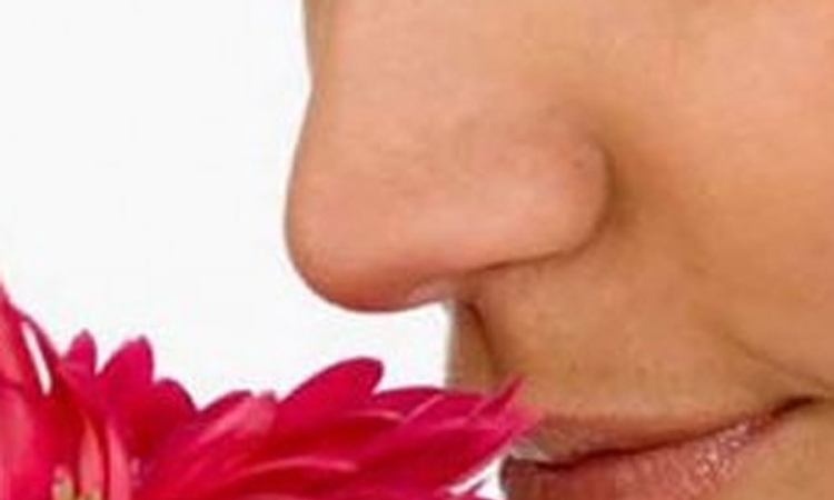 Čulo mirisa kao indikator dužine života