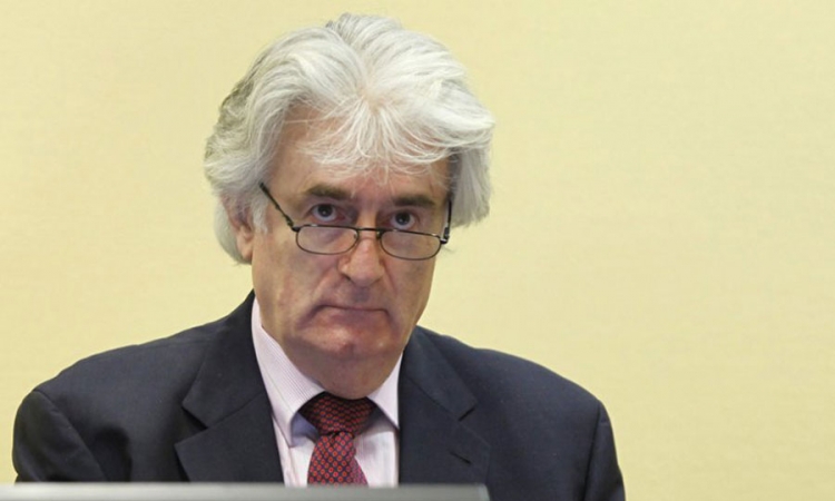 Karadžić: Nisam želio rat, Tiger: Optuženi krije istinu