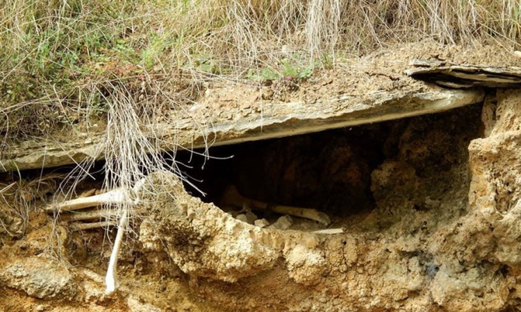 Kosti ispadaju iz grobnice, opština ništa ne preduzima