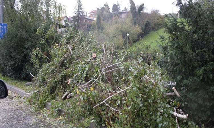 Zbog nevremena zatvorene ceste i poplavljene kuće